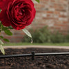 Best Watering System for Roses UK: The 2026 Expert Guide