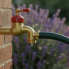 Garden Hose Connectors: The Complete Guide to Leak-Free Watering