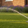 Finding the Right Hozelock Sprinkler for Your Lawn Size