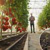 Self-Watering Systems for Greenhouses: The Ultimate 2026 Guide