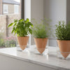 Boskke Till Planter: The Expert Guide to Self-Watering Indoor Herbs