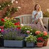 Hozelock Self Watering System: The Complete 2026 UK Expert Guide