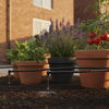Hozelock 20 Pot Watering System: The Complete 2026 UK Setup Guide