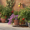 Hozelock 25 Pot Automatic Watering Kit: The Complete 2026 Review & Installation Guide