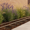 Hozelock Dripper Hose: The Complete 2026 Guide to Efficient Garden Irrigation