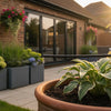 Holiday Plant Watering Systems: The Ultimate 2026 UK Guide