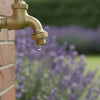 Hozelock Hose Connectors UK: The 2026 Buying Guide for Leak-Proof Watering