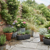 Automatic Watering System for Planters UK: How to Choose the Right Setup