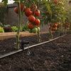 Best Vegetable Garden Drip Irrigation Kits: A 2026 UK Buying Guide