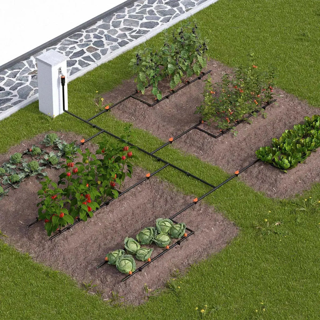 Irrigation Design Plan