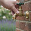 Durable Hose Pipe and Tap Connectors: A Buyer's Guide