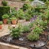 Hozelock Drip Irrigation: A Practical UK Guide