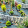 Drip irrigation system with brown hoses watering landscaped garden plants on black weed barrier