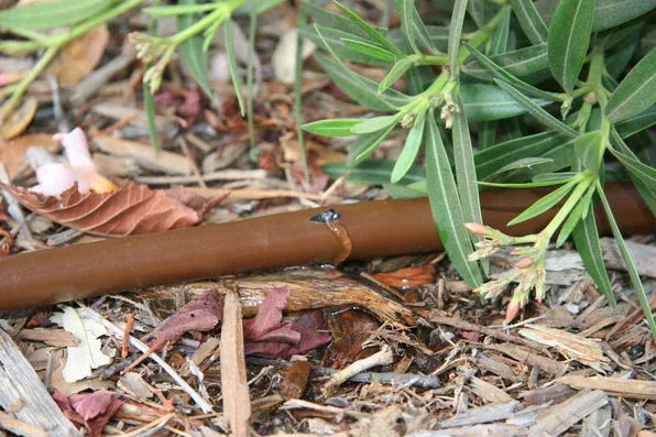Drip Line Garden Watering