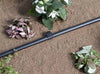 Claber 50M Supply hose (2x50)