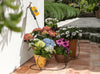 Potted flowers on a patio with a hose and water sprayer in the background