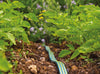 Hozelock Sprinkler Hose 7.5m - 6755