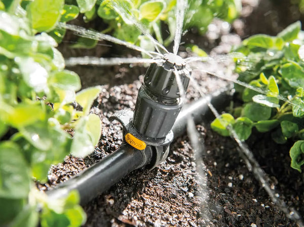 Drip irrigation system watering plants in a garden
