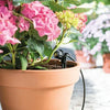 Hozelock 7024 dripper in action in flower pot