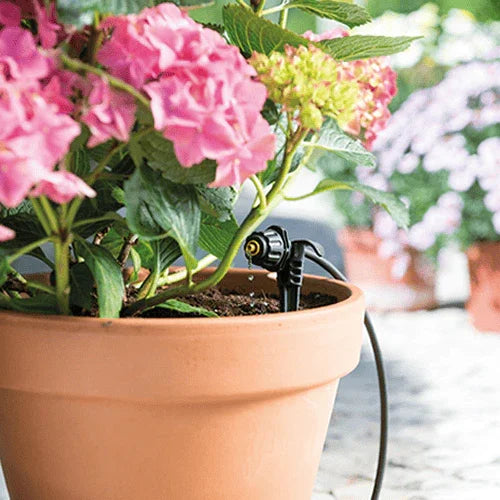 Hozelock 7024 dripper in action in flower pot