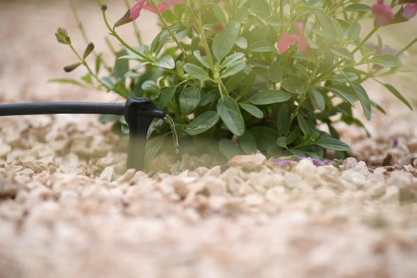 Hozelock 7043 dripper watering plant