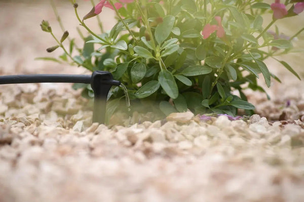 Hozelock 7043 dripper watering plant