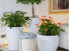 Claber Aqualux Watering System - 8062
