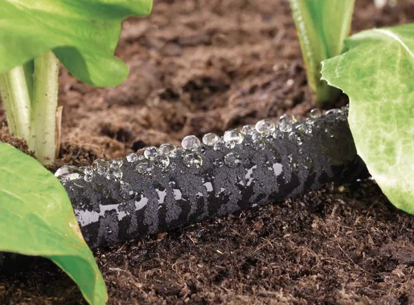 The Claber Soaker Hose 25 M - 90351, in black, releases water droplets onto the soil between green leafy plants, providing efficient and eco-friendly garden irrigation.