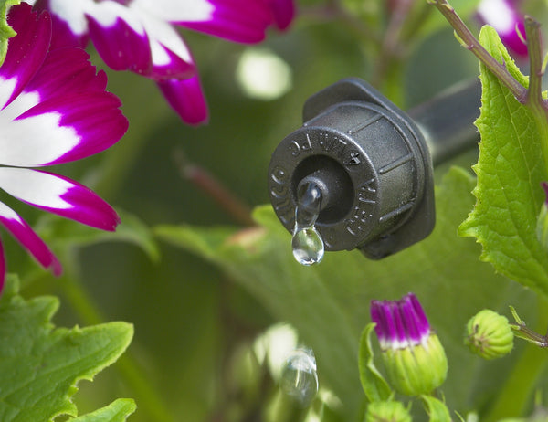 Black Antelco CETA dripper in flowerbed