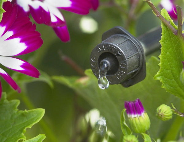 Black Antelco CETA dripper in flowerbed