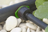 Green Antelco CETA dripper in pipe