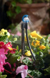 Antelco Downspray CFD in Garden Pot