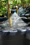 Antelco Downsray in Pot watering spray