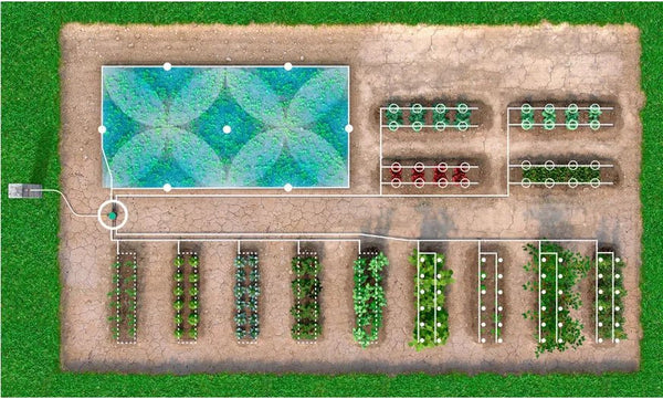 Aerial view of a garden irrigation layout with greenhouses and crop rows.