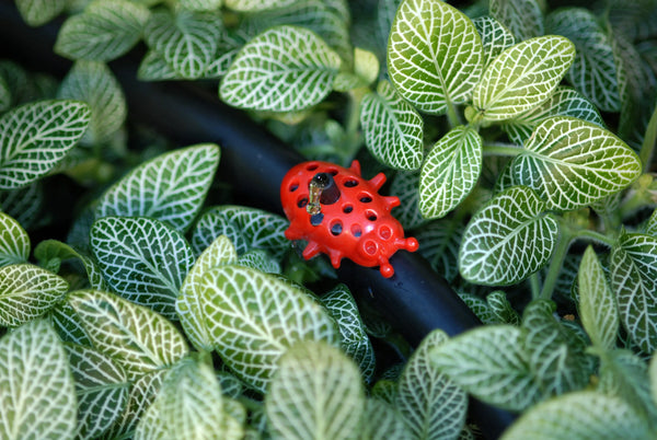 Red Antelco anybug dripper in pipe