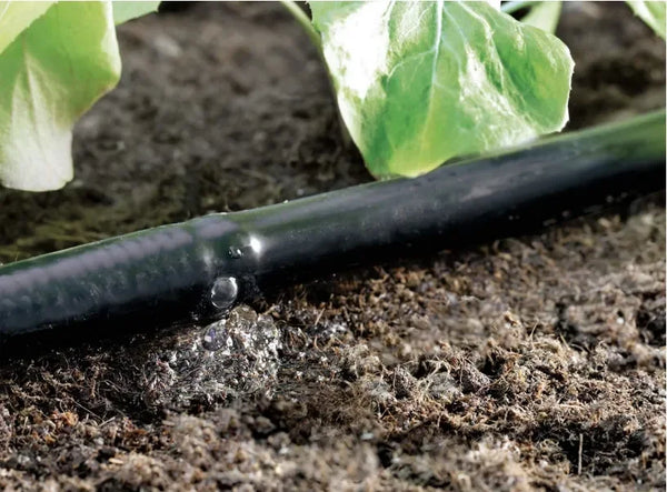 drip line in action black