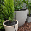 Antelco Pot Stream into planted tubs
