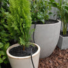 Antelco Pot Stream into planted tubs