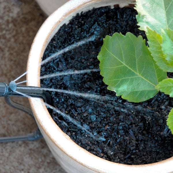 Potted plant being watered with a antelco pot stream