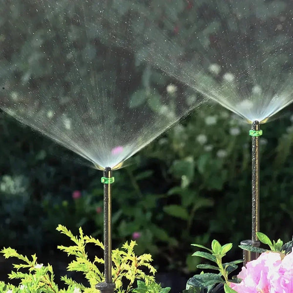 Microjet Sprays in Action