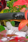 Drip irrigation system with water droplet on a background of pebbles and flowers
