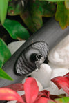 Antelco Pinch Dripper