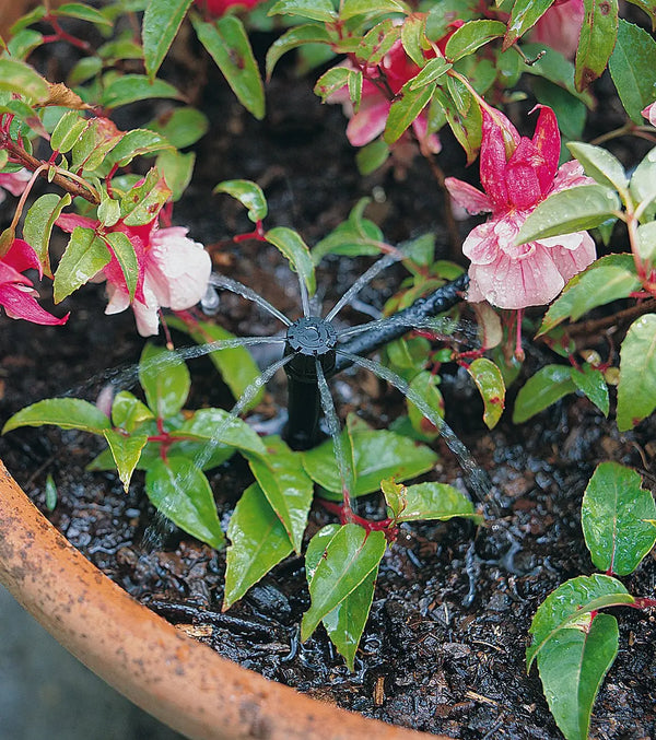 Antelco Shrubber in plant pot
