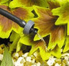 Drip irrigation system on a plant with water dripping