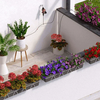 Outdoor setting with potted plants and flowers on a white floor.
