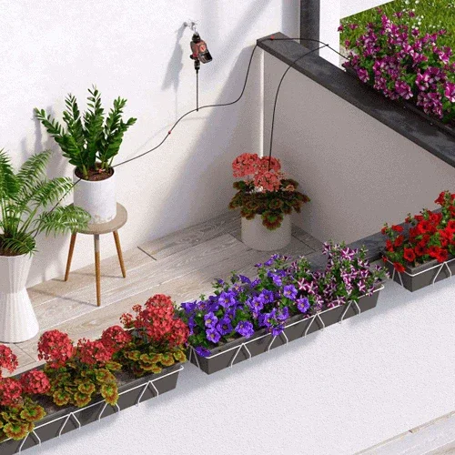 Outdoor setting with potted plants and flowers on a white floor.