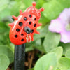 Red ladybug-shaped sprinkler head on a green leafy background