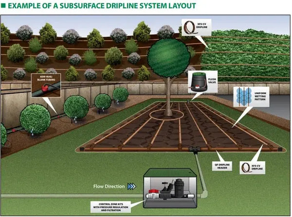 Illustration of a subsurface dripline irrigation system layout in a garden, featuring the RainBird Drip Line 100m for Hedges, Borders & Beds running through the landscape. The diagram displays pipes, control zone, filters, and water flow direction around a tree and rows of plants—showcasing an ideal setup for efficient garden irrigation using up to 100 meters of this drip line configuration.