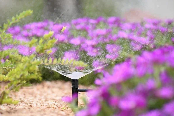 Sprinkler watering purple flowers in a garden