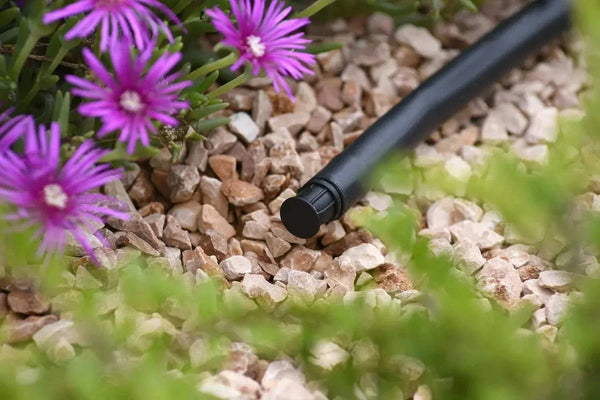 Irrigation Stop connector in gravel flower bed.